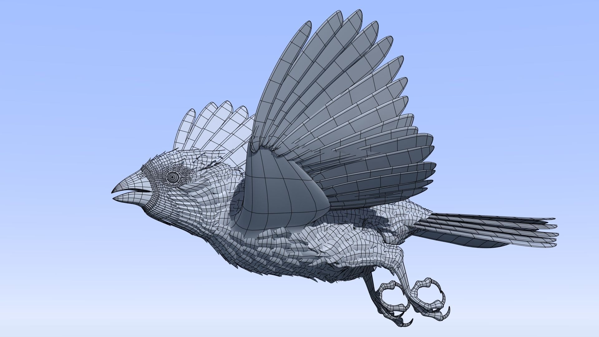 Northern Cardinal - rigged - animated Low-poly 3D model_18