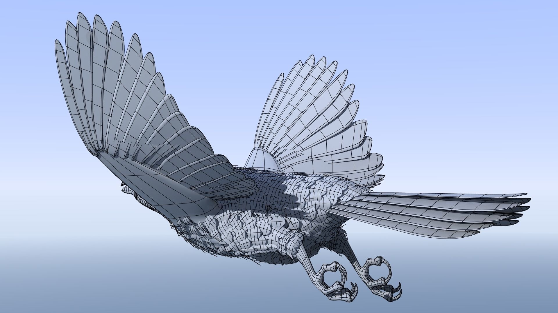 Northern Cardinal - rigged - animated Low-poly 3D model_24