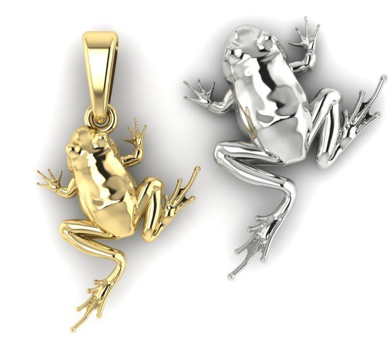 pendant frog double-sided 3D print model_1