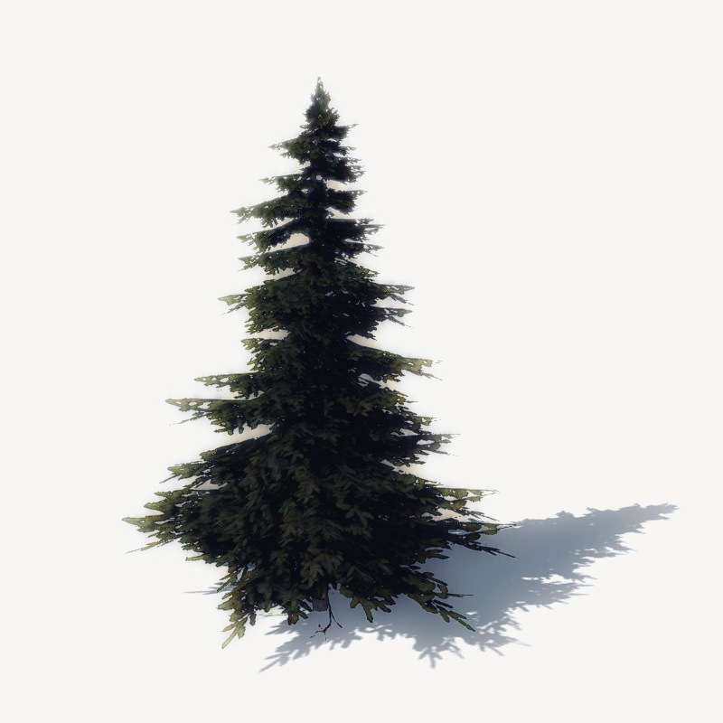 15 Pine Tree Lowpoly Models For Games Low-poly 3D model_7