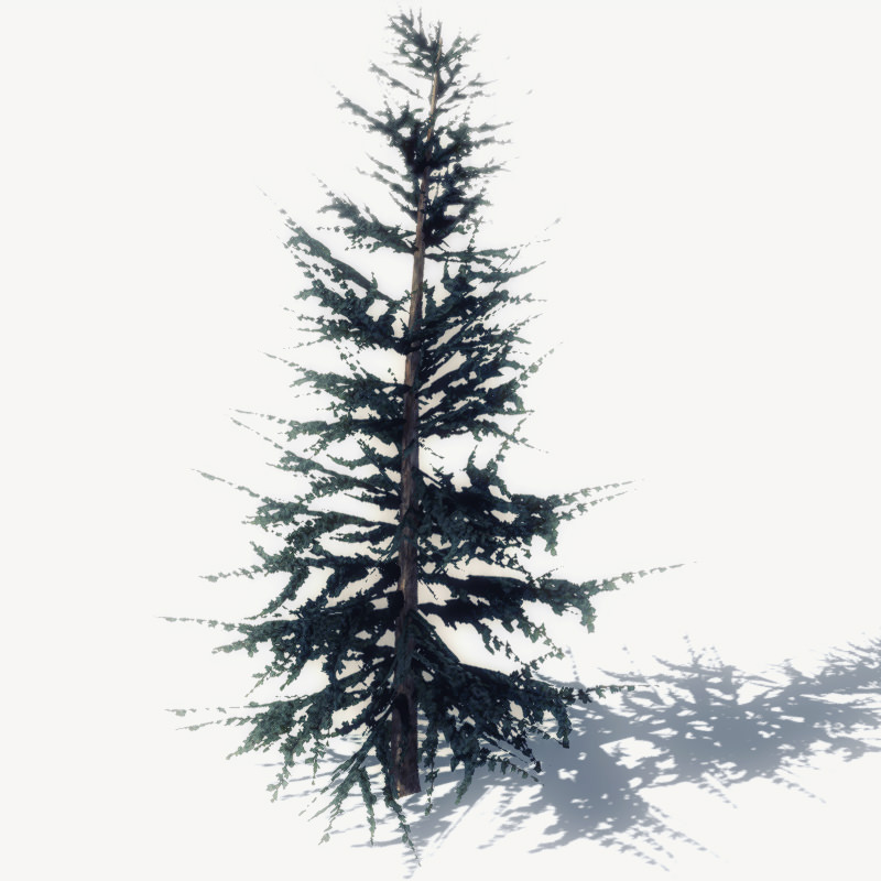 15 Pine Tree Lowpoly Models For Games Low-poly 3D model_29
