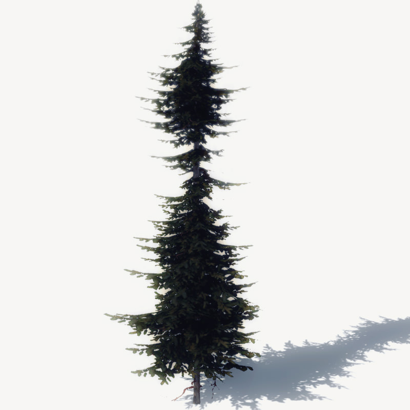 15 Pine Tree Lowpoly Models For Games Low-poly 3D model_12