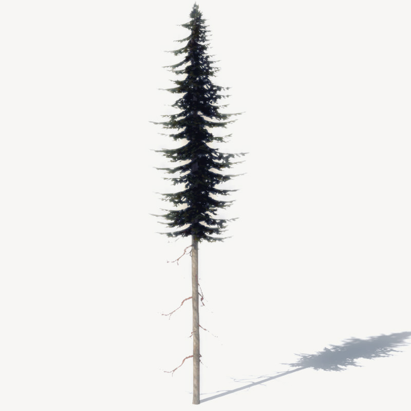 15 Pine Tree Lowpoly Models For Games Low-poly 3D model_15