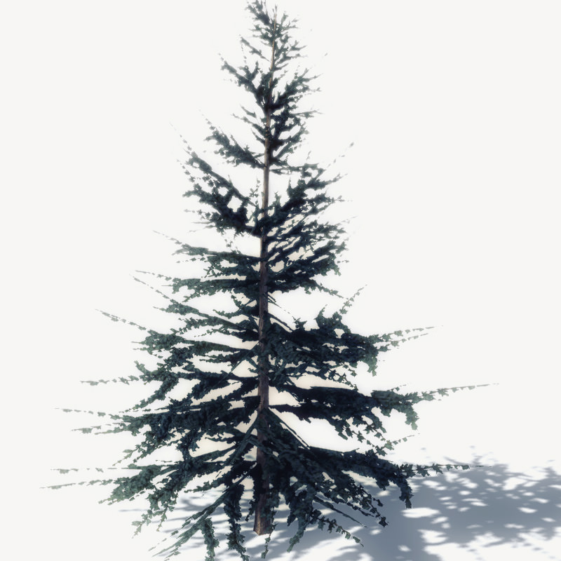 15 Pine Tree Lowpoly Models For Games Low-poly 3D model_28