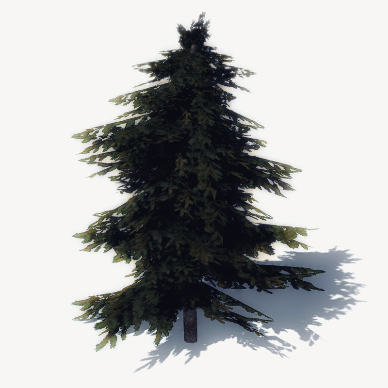 15 Pine Tree Lowpoly Models For Games Low-poly 3D model_1