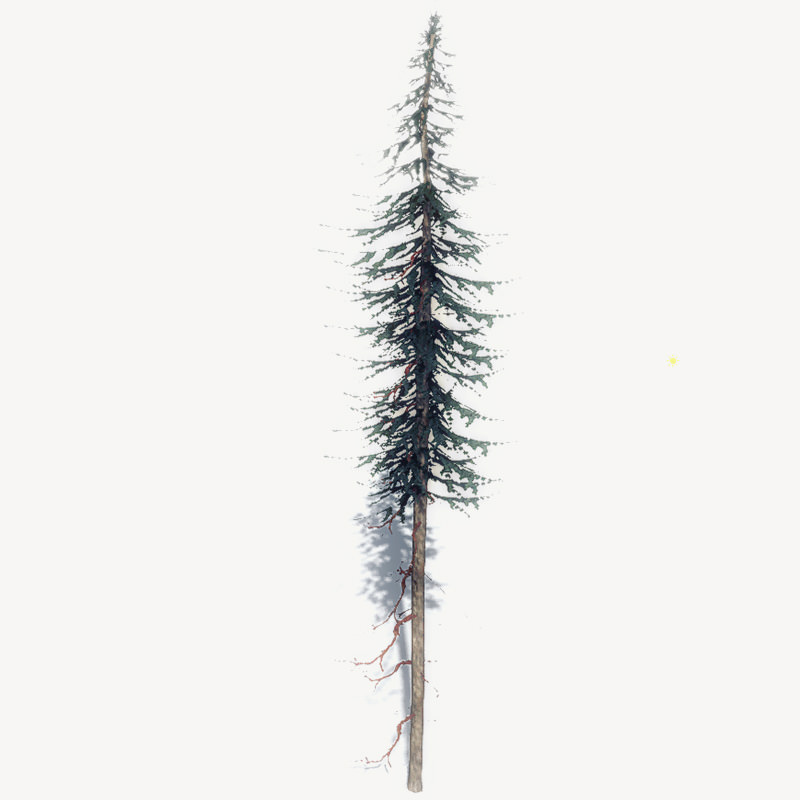 15 Pine Tree Lowpoly Models For Games Low-poly 3D model_23