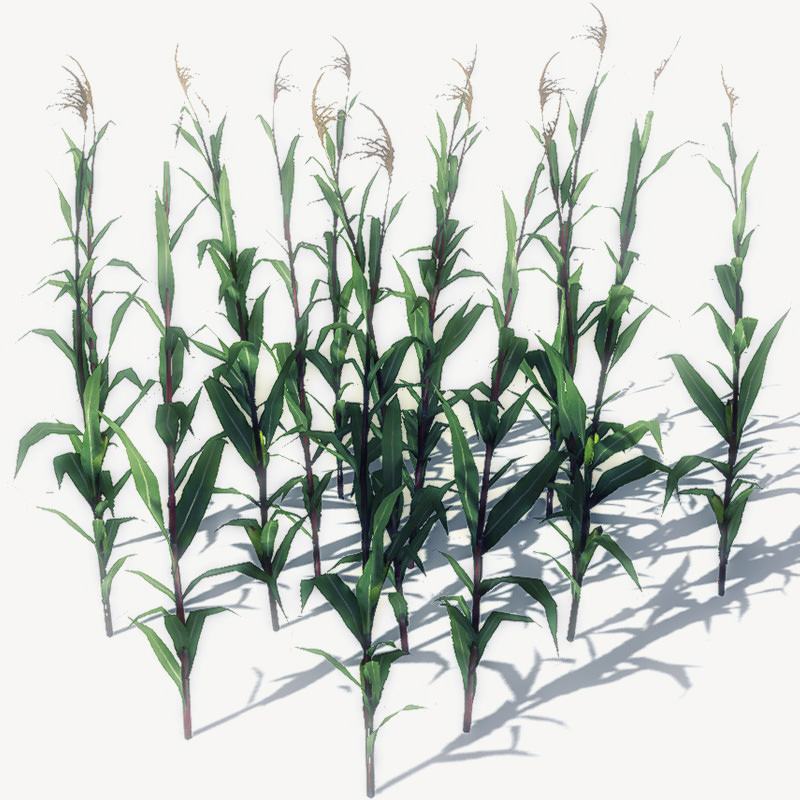 20 Ground Plants For Games Low-poly 3D model_20