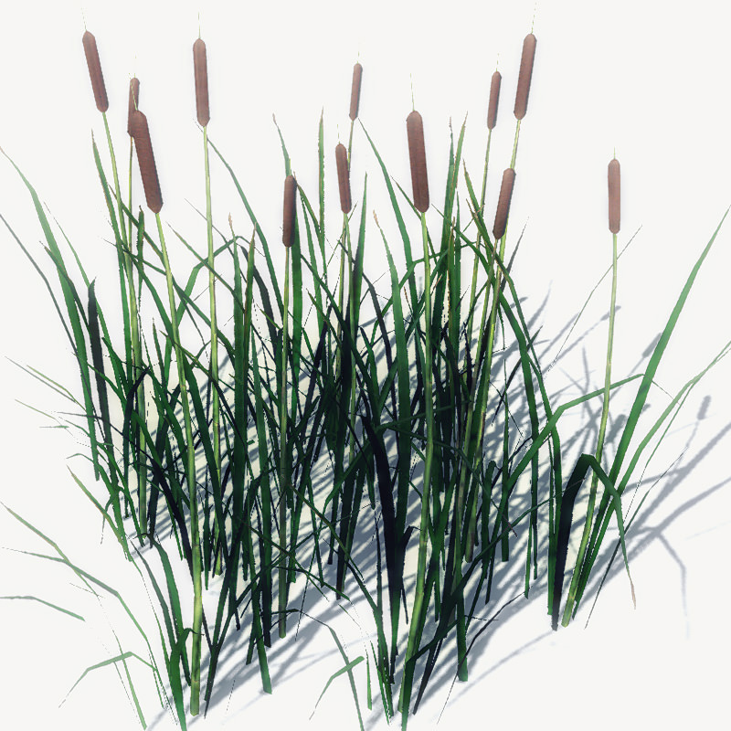 20 Ground Plants For Games Low-poly 3D model_26