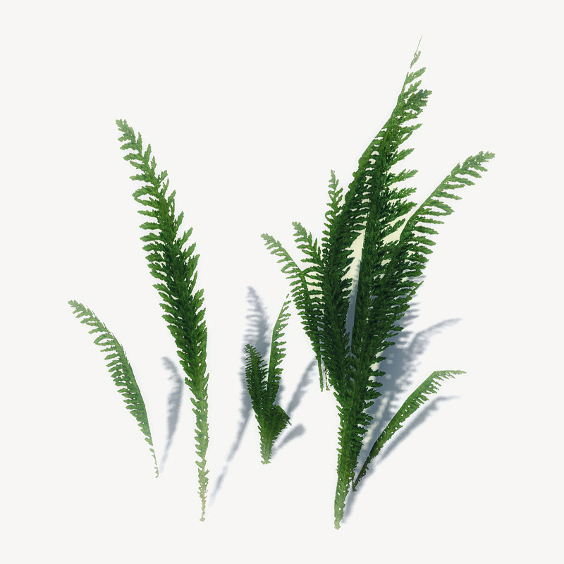 20 Ground Plants For Games Low-poly 3D model_18
