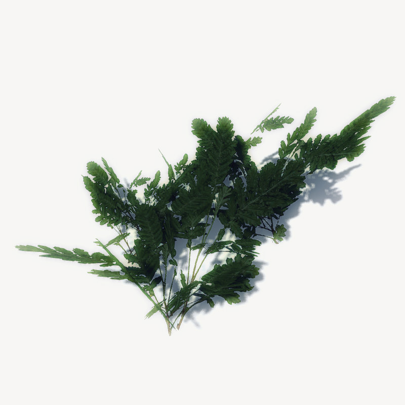 20 Ground Plants For Games Low-poly 3D model_16