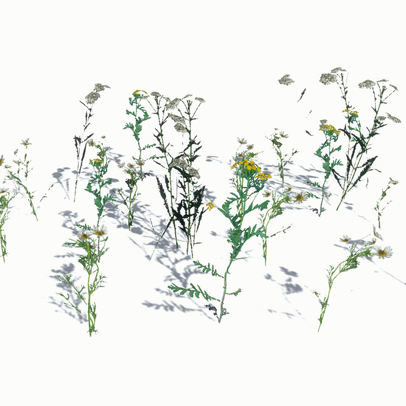 20 Ground Plants For Games Low-poly 3D model_37