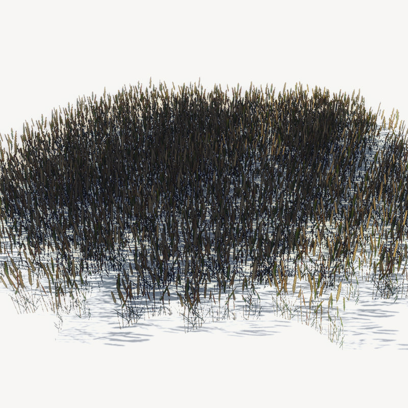 20 Ground Plants For Games Low-poly 3D model_1