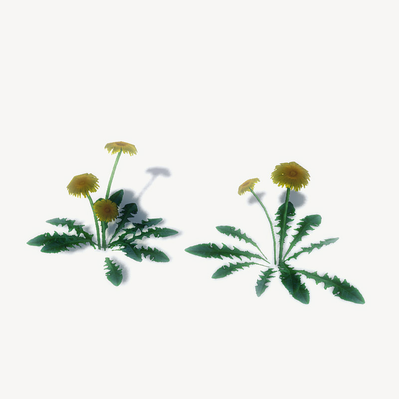 20 Ground Plants For Games Low-poly 3D model_4