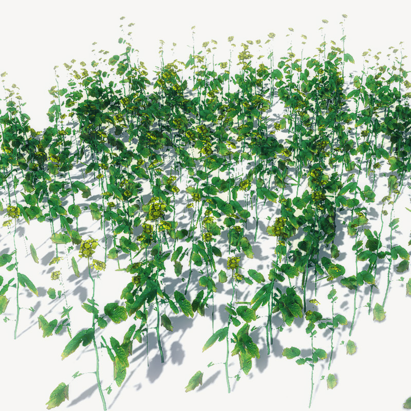 20 Ground Plants For Games Low-poly 3D model_22