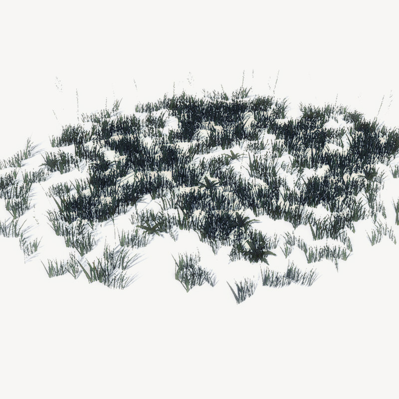 20 Ground Plants For Games Low-poly 3D model_38