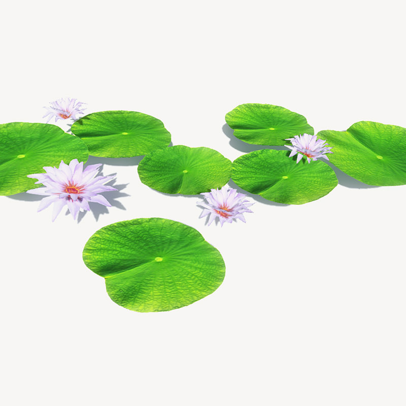 20 Ground Plants For Games Low-poly 3D model_30