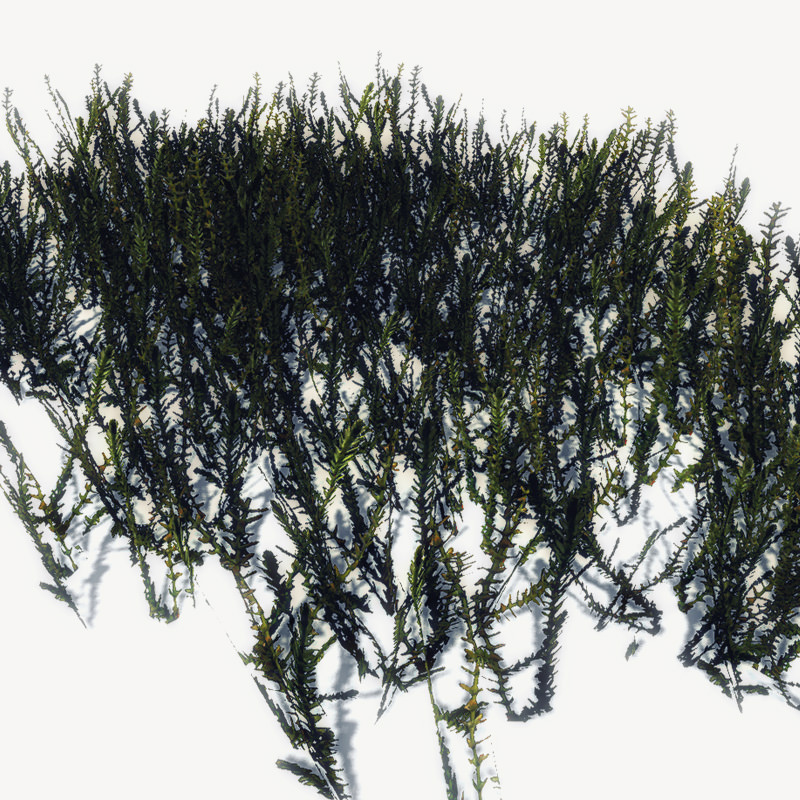 20 Ground Plants For Games Low-poly 3D model_32