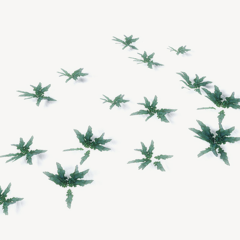 20 Ground Plants For Games Low-poly 3D model_13