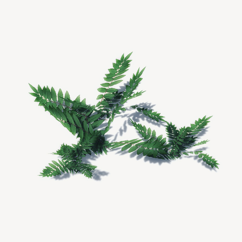 20 Ground Plants For Games Low-poly 3D model_34