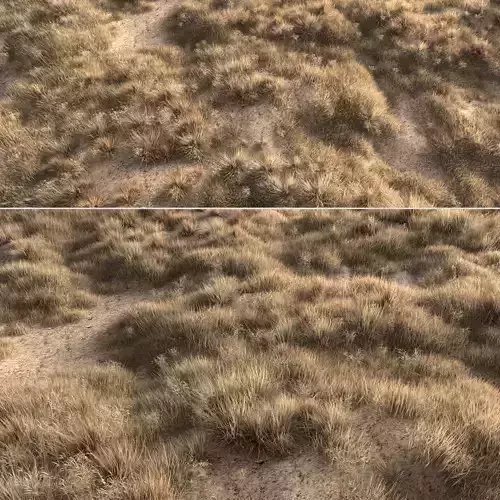 Dried grass 3D model