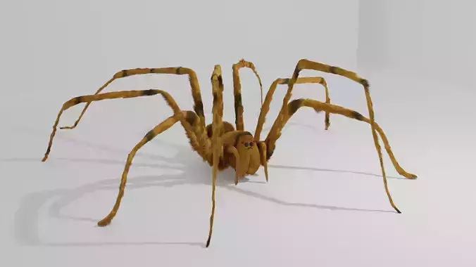 the gigant spider