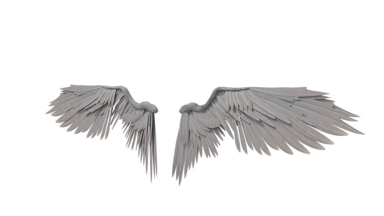 angel wings 3D model_3