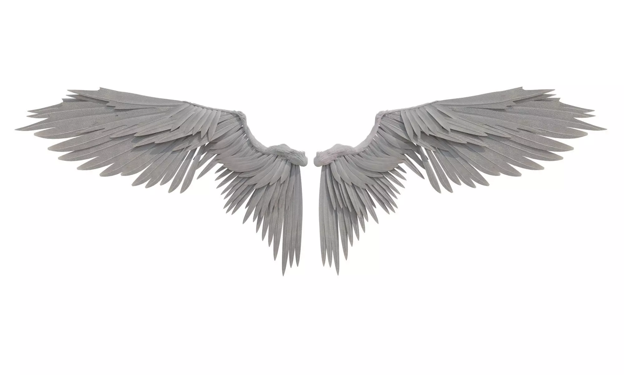 angel wings 3D model_0
