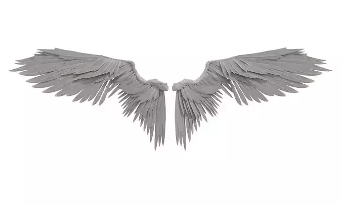 angel wings
