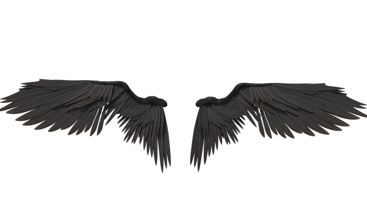 angel wings 3D model_4
