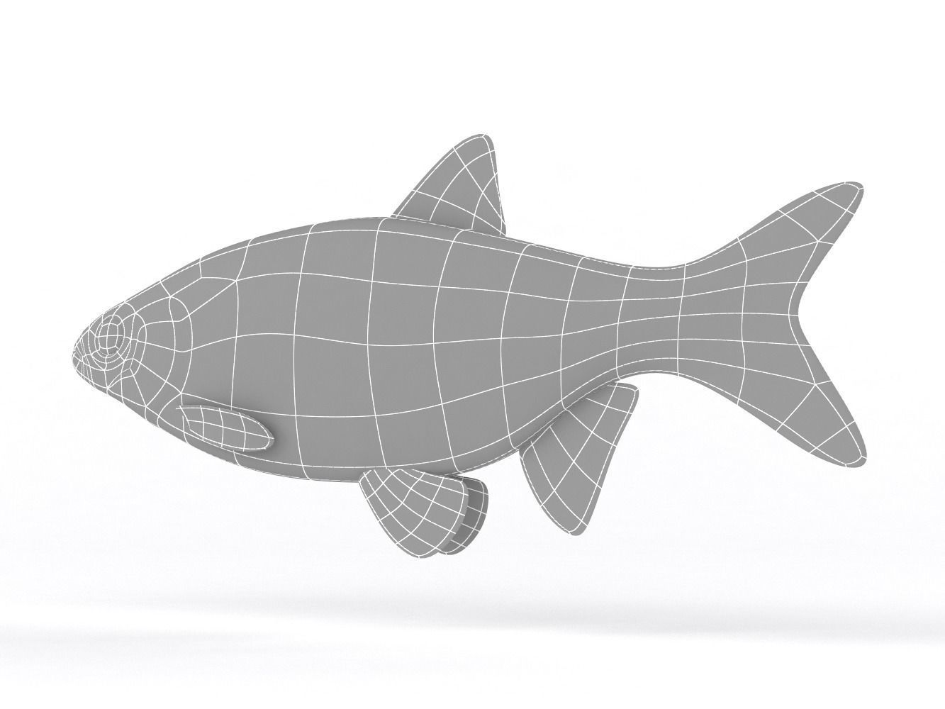 Ide Fish 3D model_9