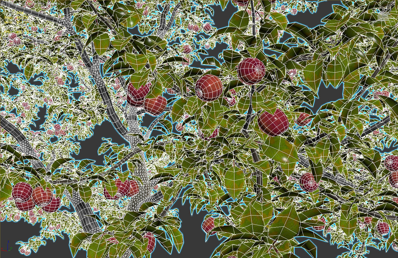 Malus fruit tree 02 3D model_3