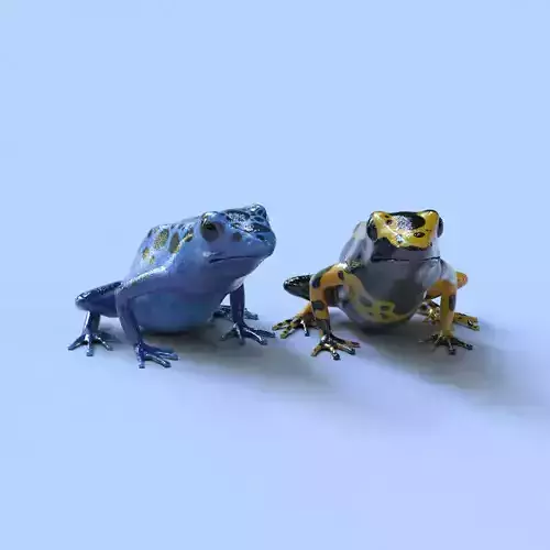 Poison Dart Frogs Package 3D model