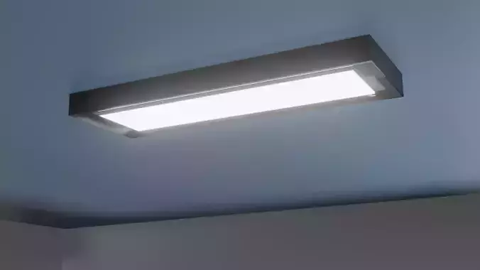 Ceiling Light