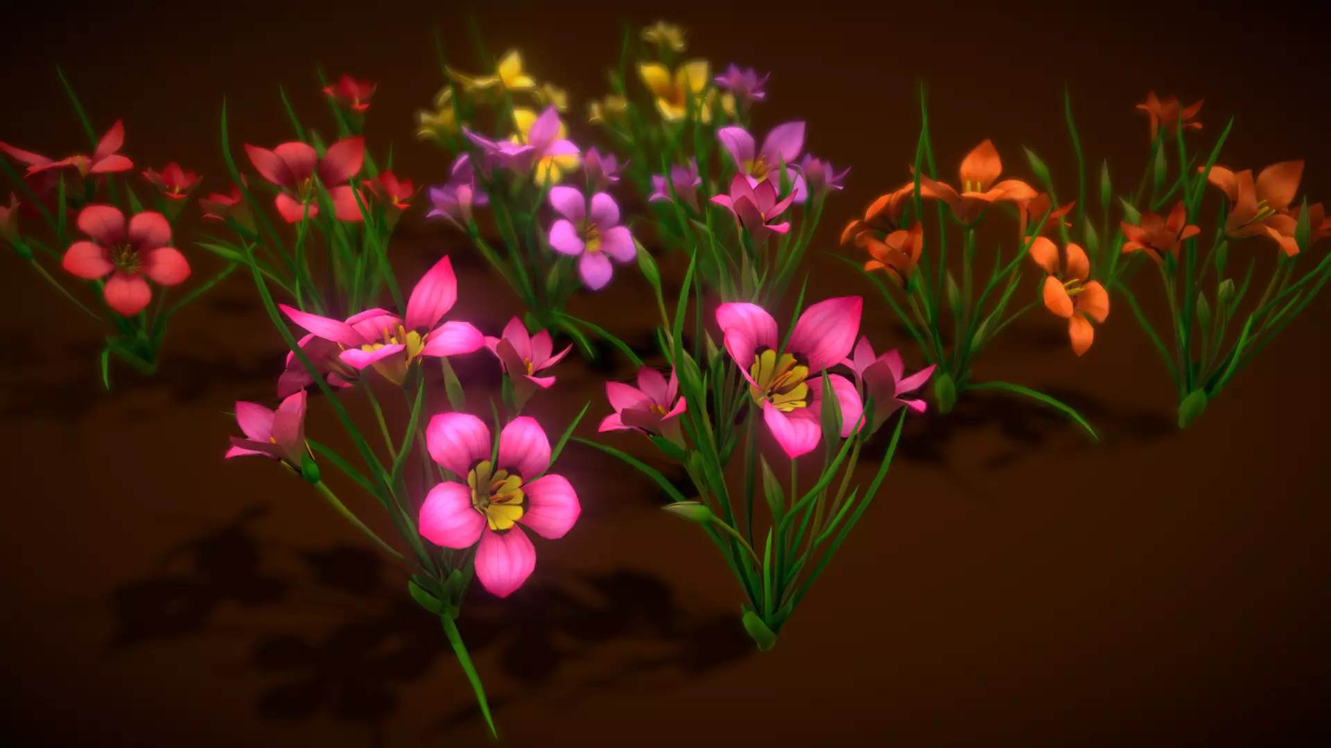  Flower Romulea Subfistulosa Low-poly 3D model_0
