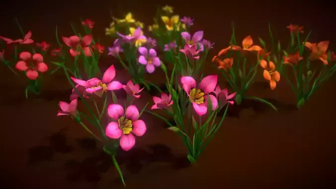  Flower Romulea Subfistulosa Low-poly 3D model