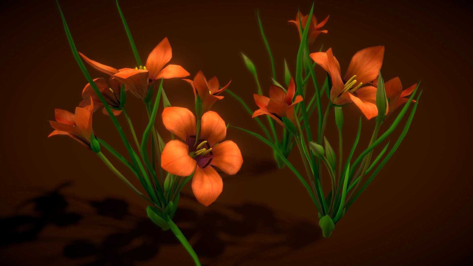  Flower Romulea Subfistulosa Low-poly 3D model_9