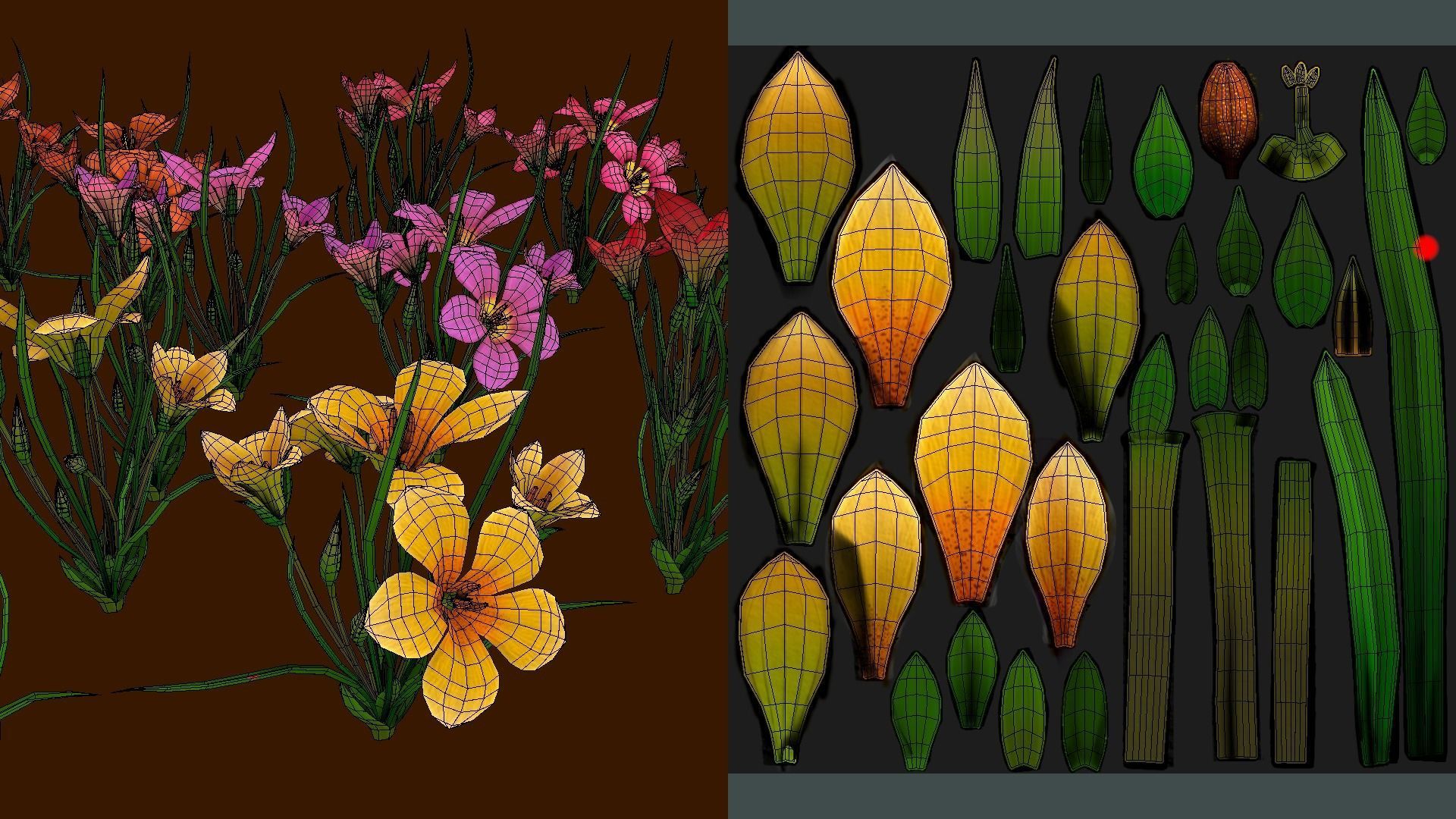  Flower Romulea Subfistulosa Low-poly 3D model_1