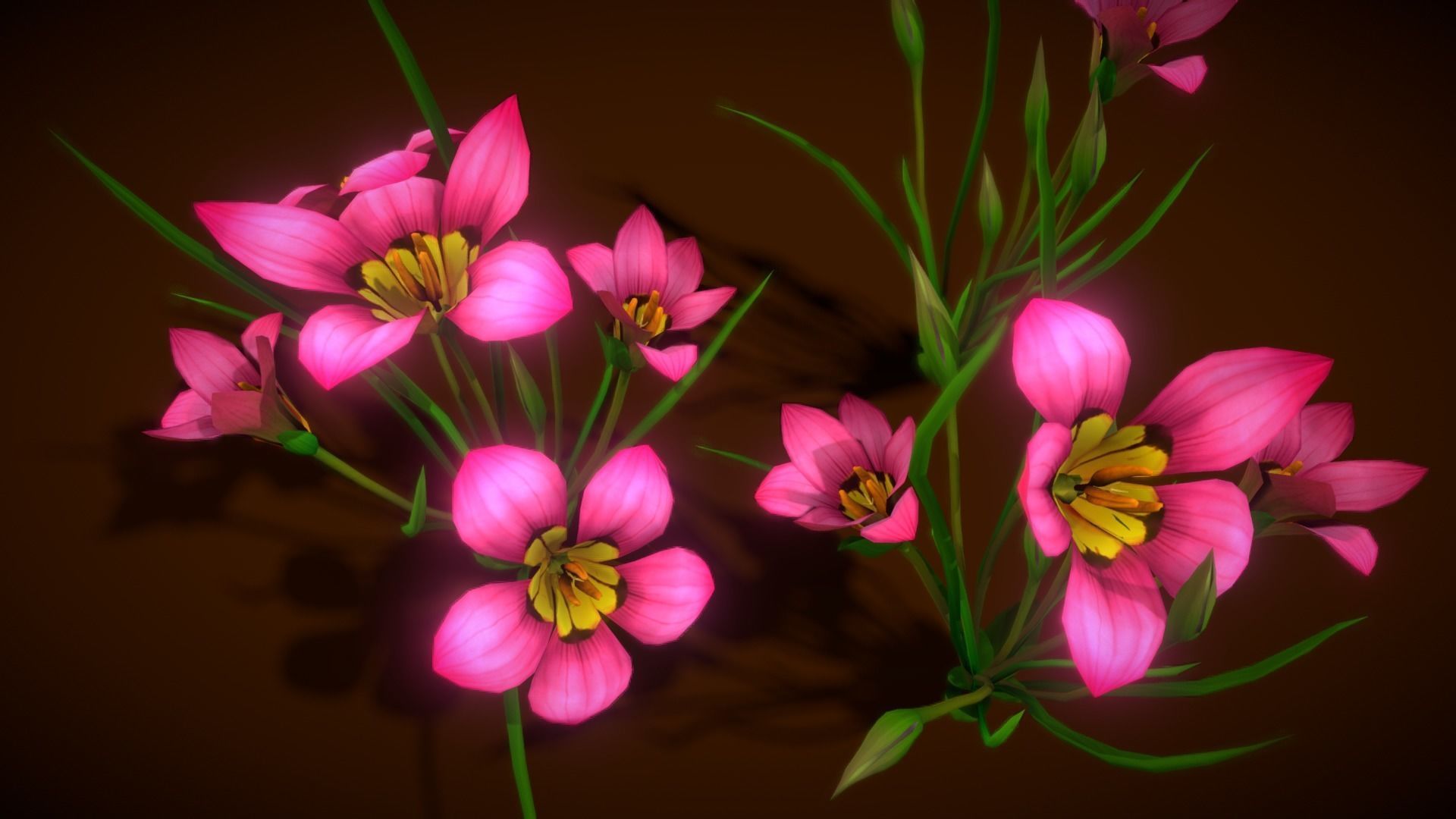  Flower Romulea Subfistulosa Low-poly 3D model_12