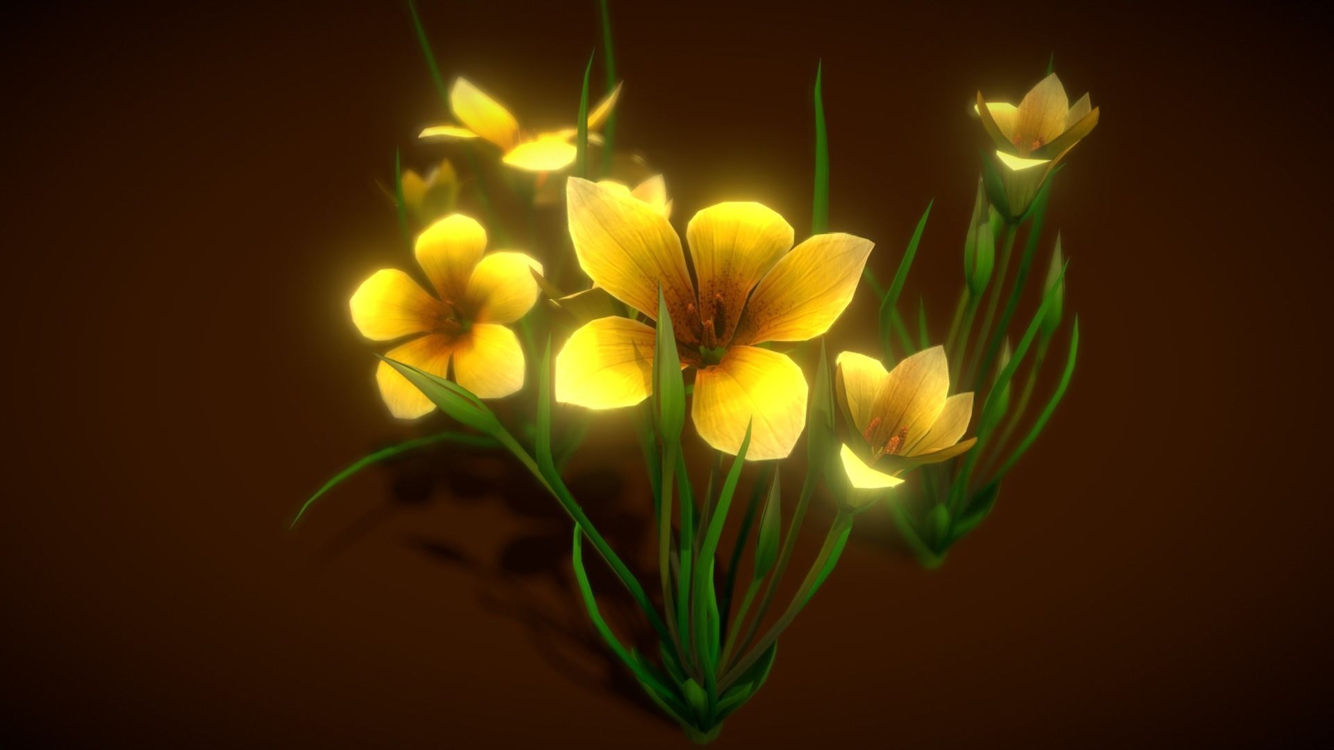  Flower Romulea Subfistulosa Low-poly 3D model_8