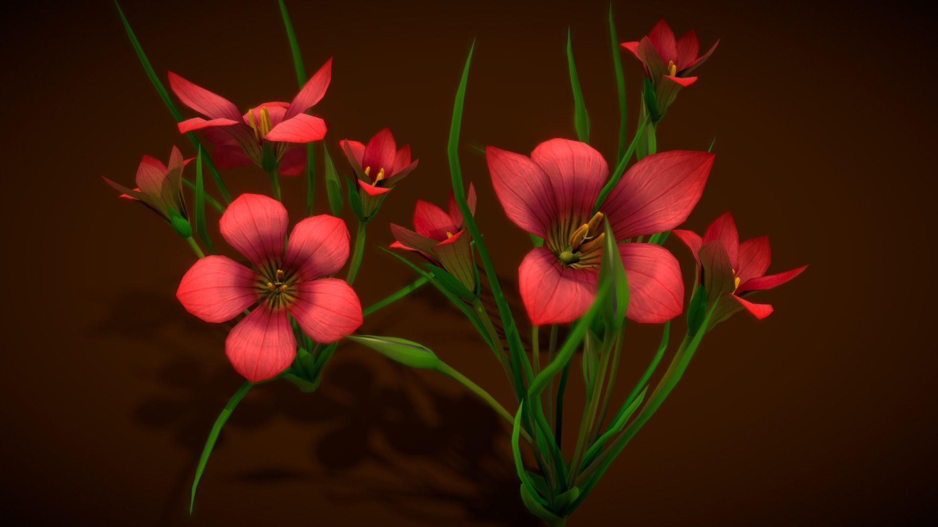  Flower Romulea Subfistulosa Low-poly 3D model_11