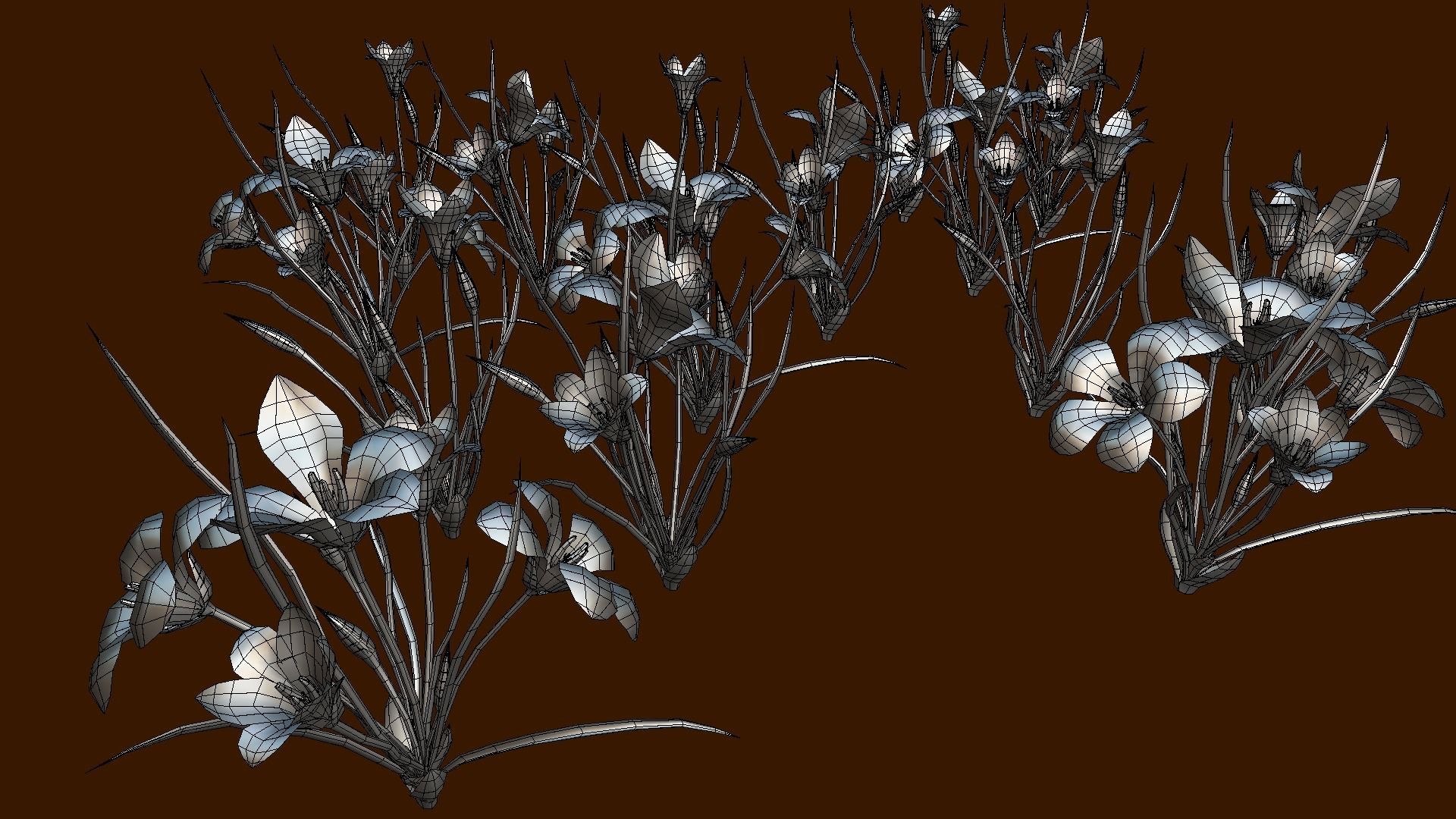  Flower Romulea Subfistulosa Low-poly 3D model_3