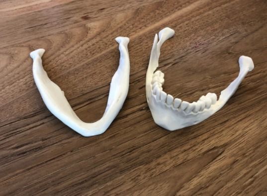 Human skull 3D print model_7