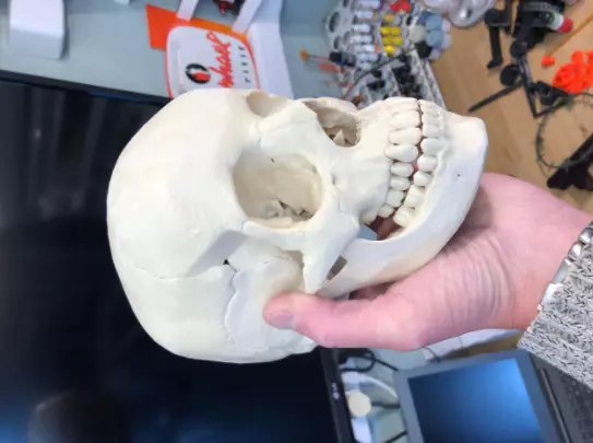 Human skull 3D print model_0