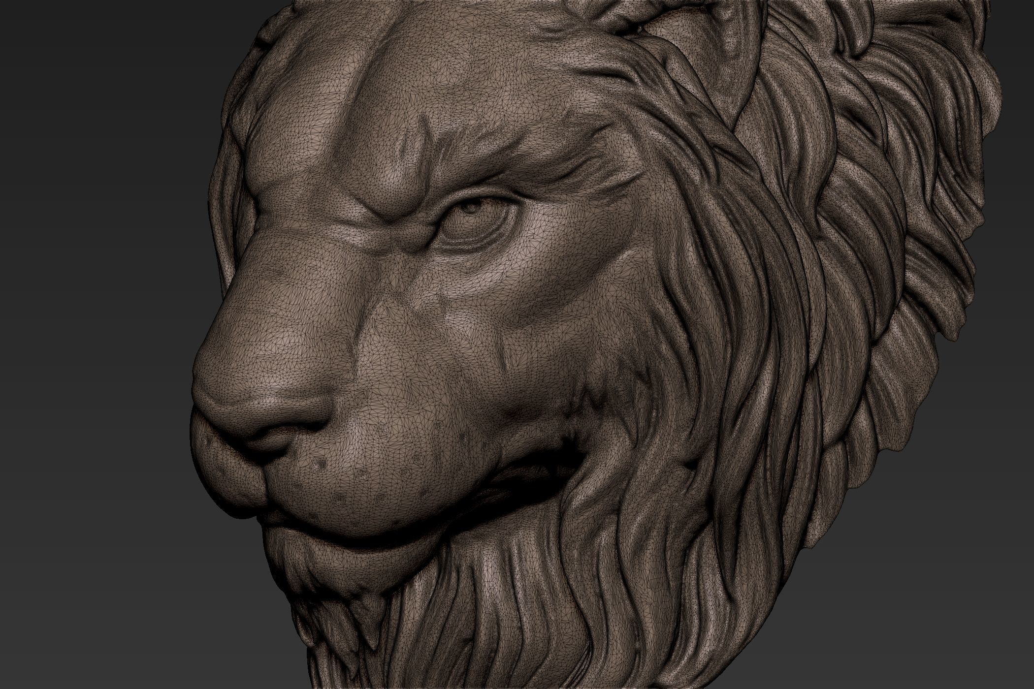 Lion Head Sculpt 3D model_9