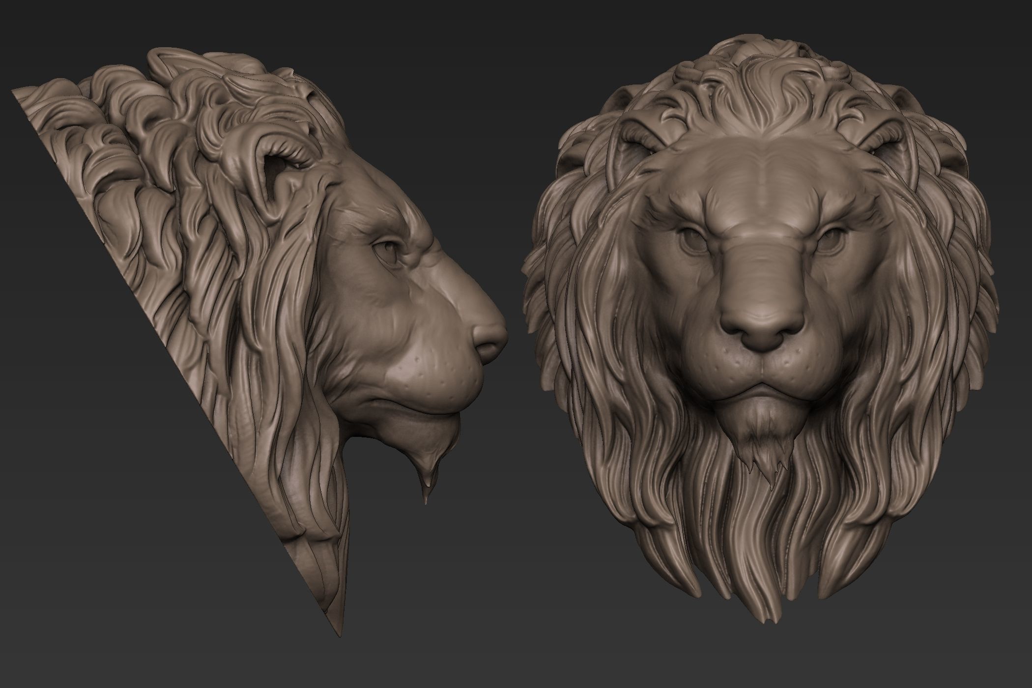 Lion Head Sculpt 3D model_8