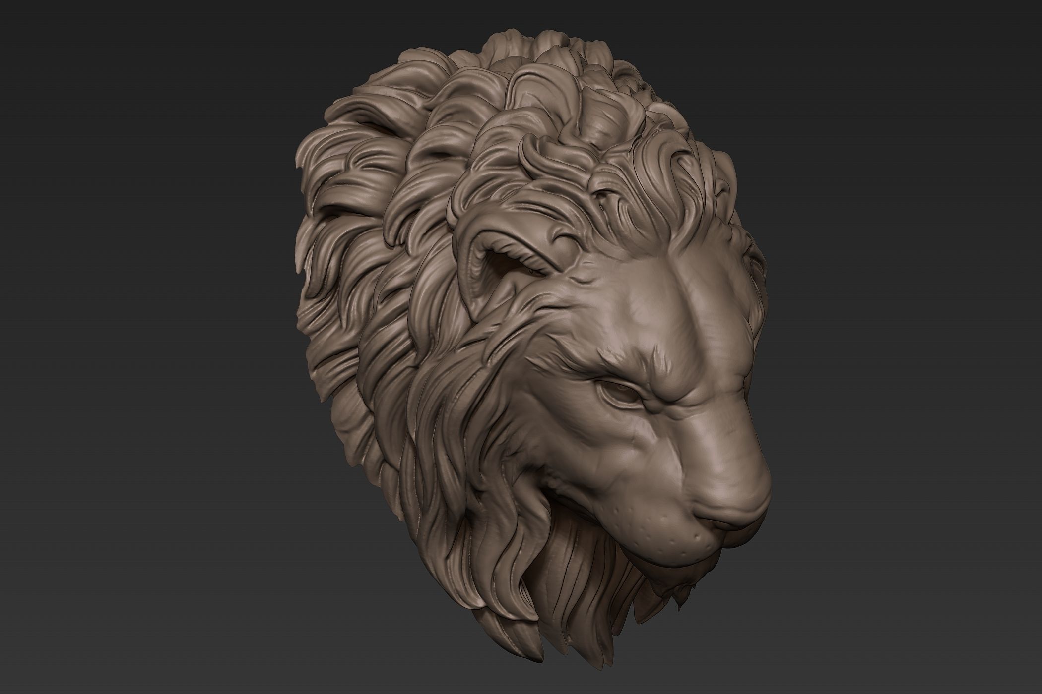 Lion Head Sculpt 3D model_5
