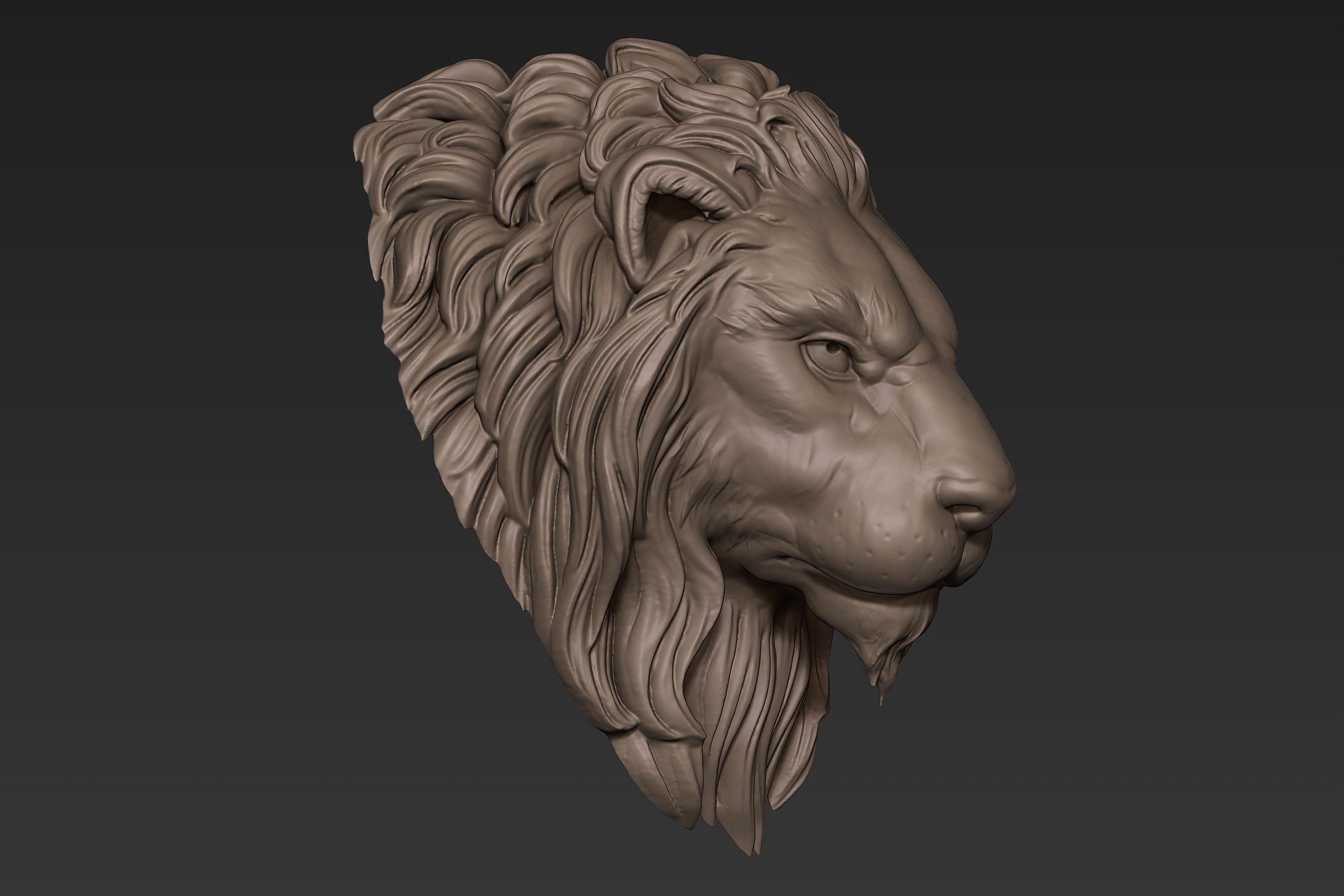 Lion Head Sculpt 3D model_6