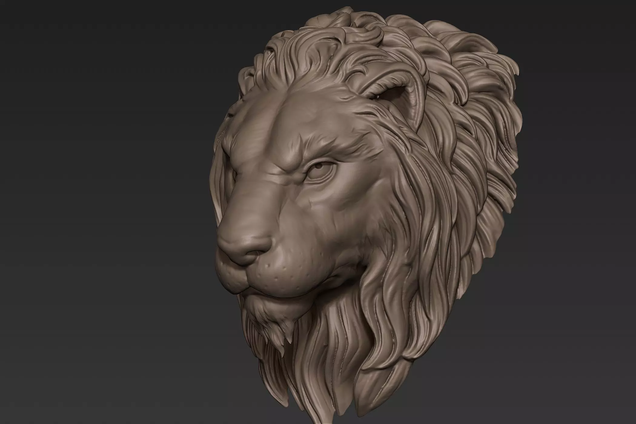 Lion Head Sculpt 3D model_0