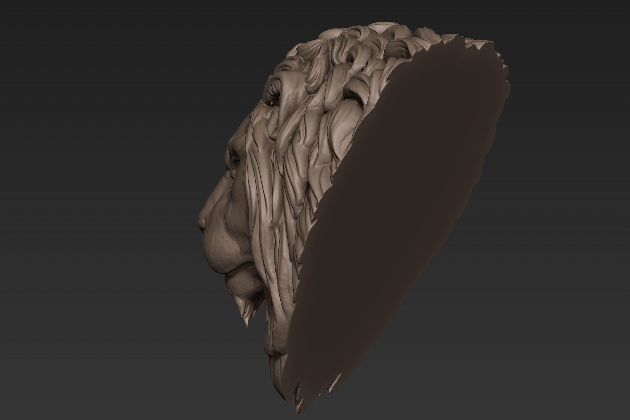 Lion Head Sculpt 3D model_7
