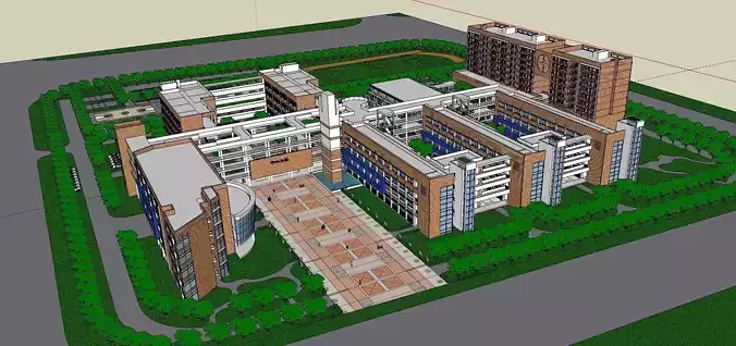 Region-City-School 113